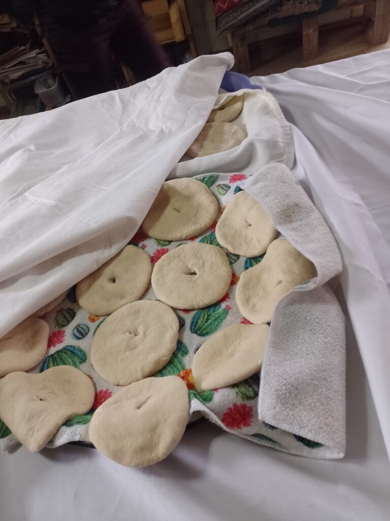 Celebración We Tripantu 3